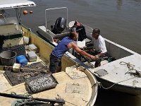 Pierre BAUDIER 2010-07-08 11-46-30